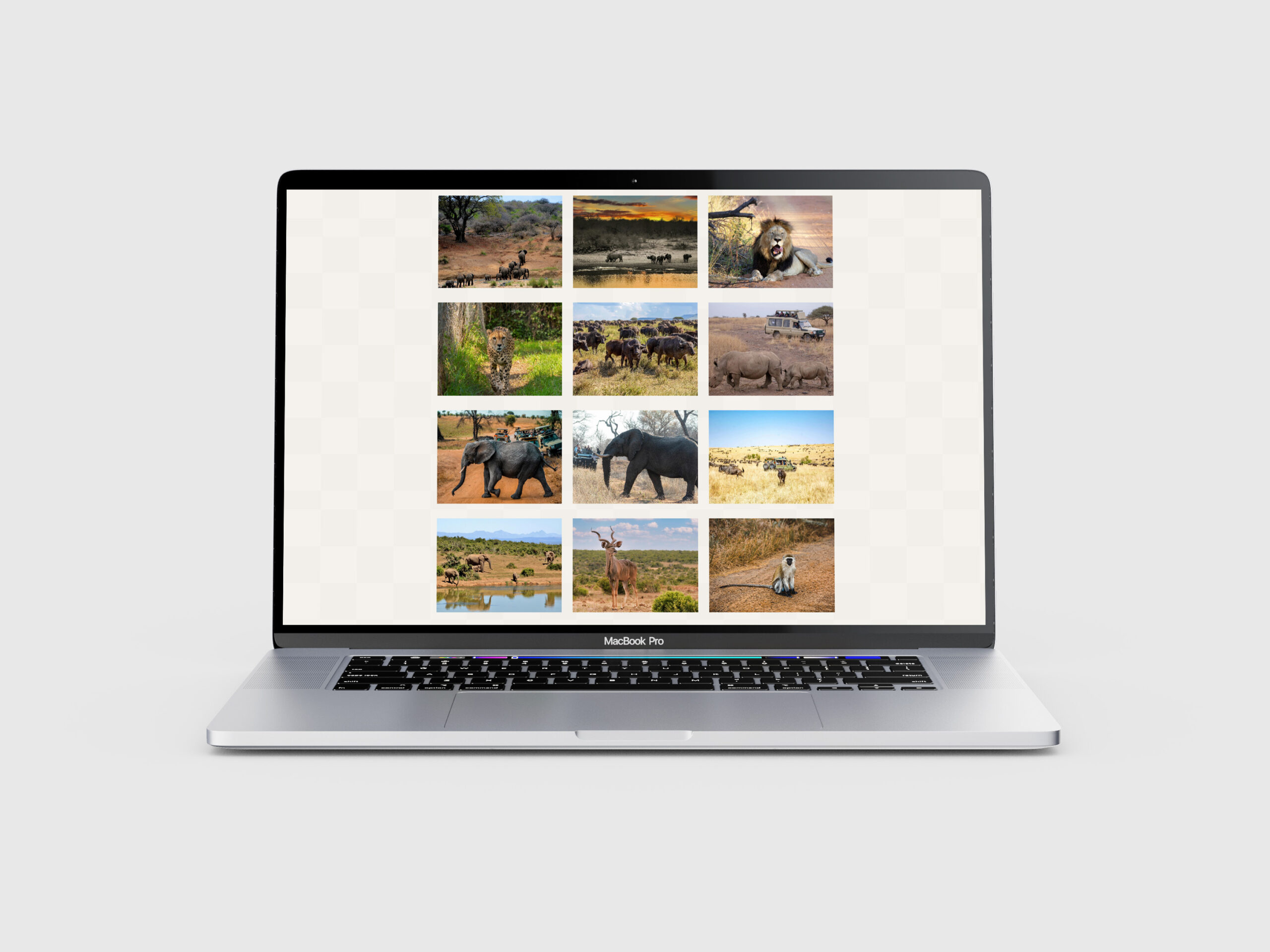 ホームページリニューアル